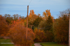 Herbst