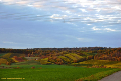 Weinberge
