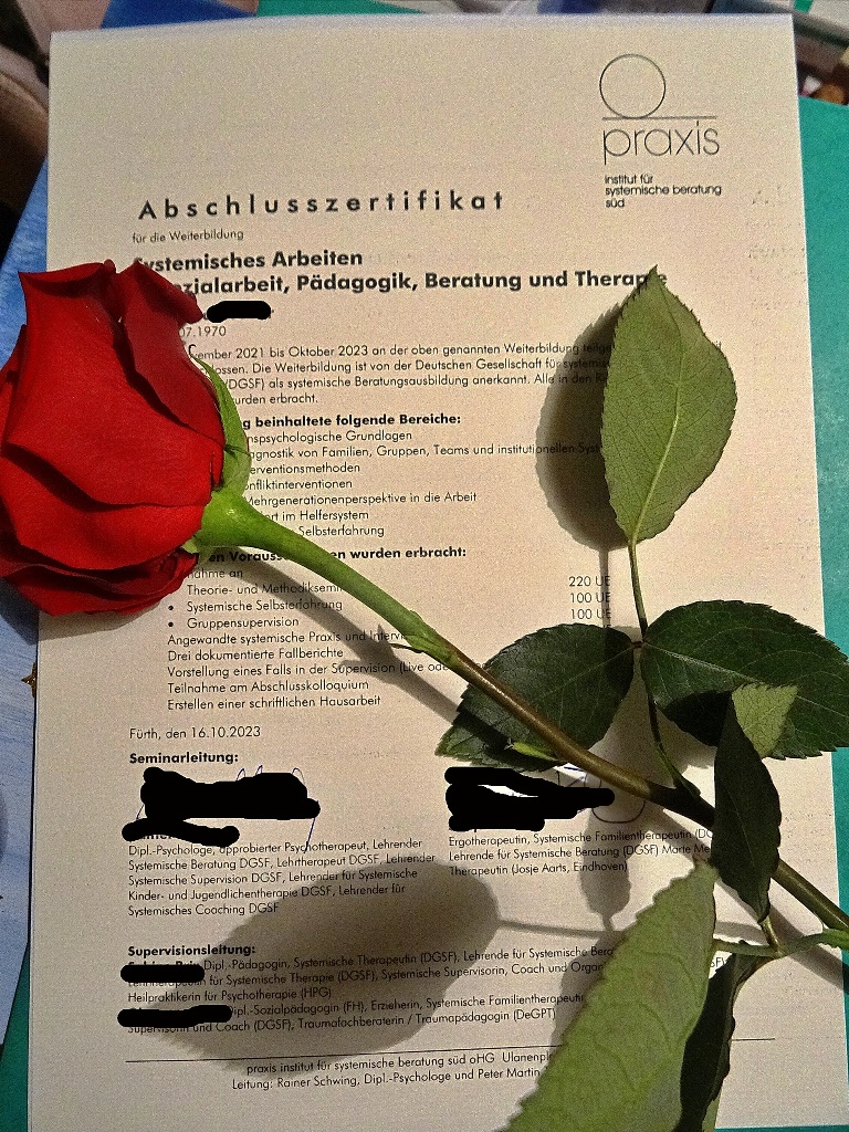 Das Bild zeigt ein Zertifikat auf dem eine langstielige rote Rose liegt. Die Namen sind geschwärzt.